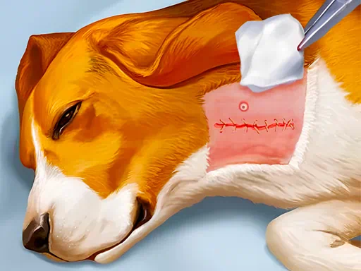 Jeu d'hôpital pour chiens