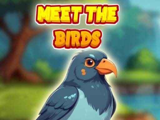 Jeu « Rencontrez les oiseaux »