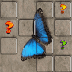 Jeu de mémoire sur les papillons